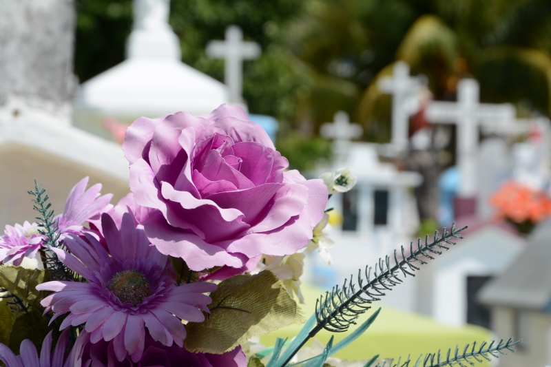 funeraire-VENCE-min_cementerio-948048